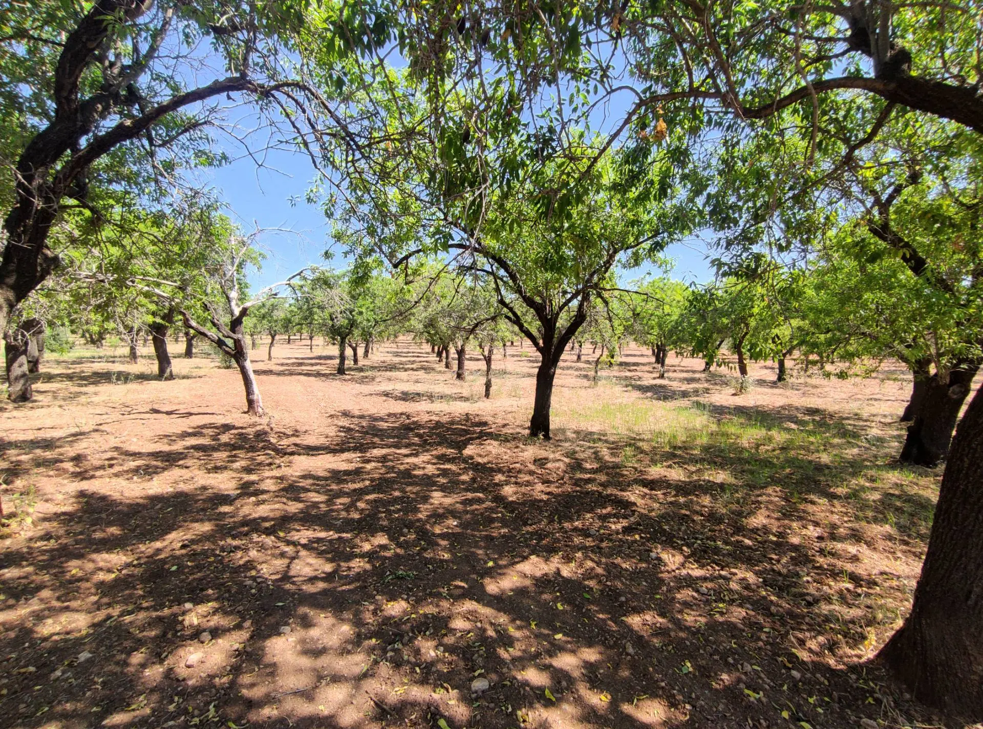 Immagine per Rustico/Casale in vendita a Noto Contrada Volpiglia snc