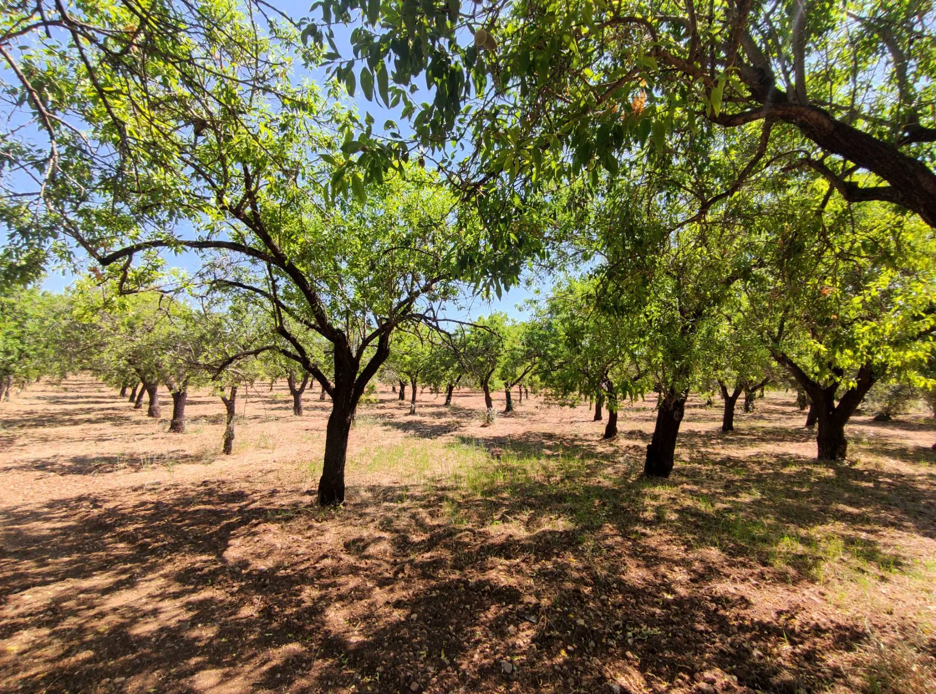 Immagine per Rustico/Casale in vendita a Noto Contrada Volpiglia snc
