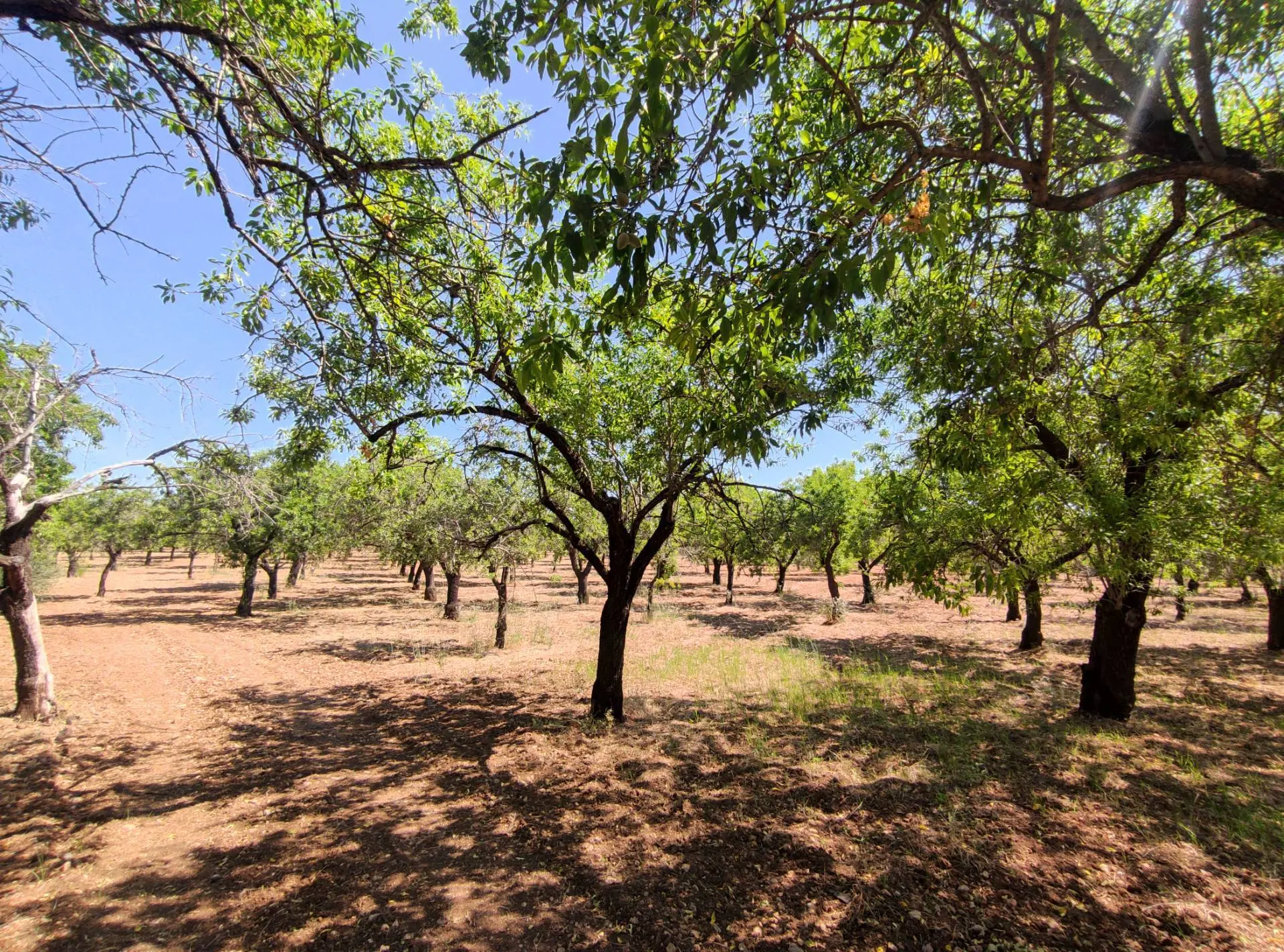 Immagine per Rustico/Casale in vendita a Noto Contrada Volpiglia snc