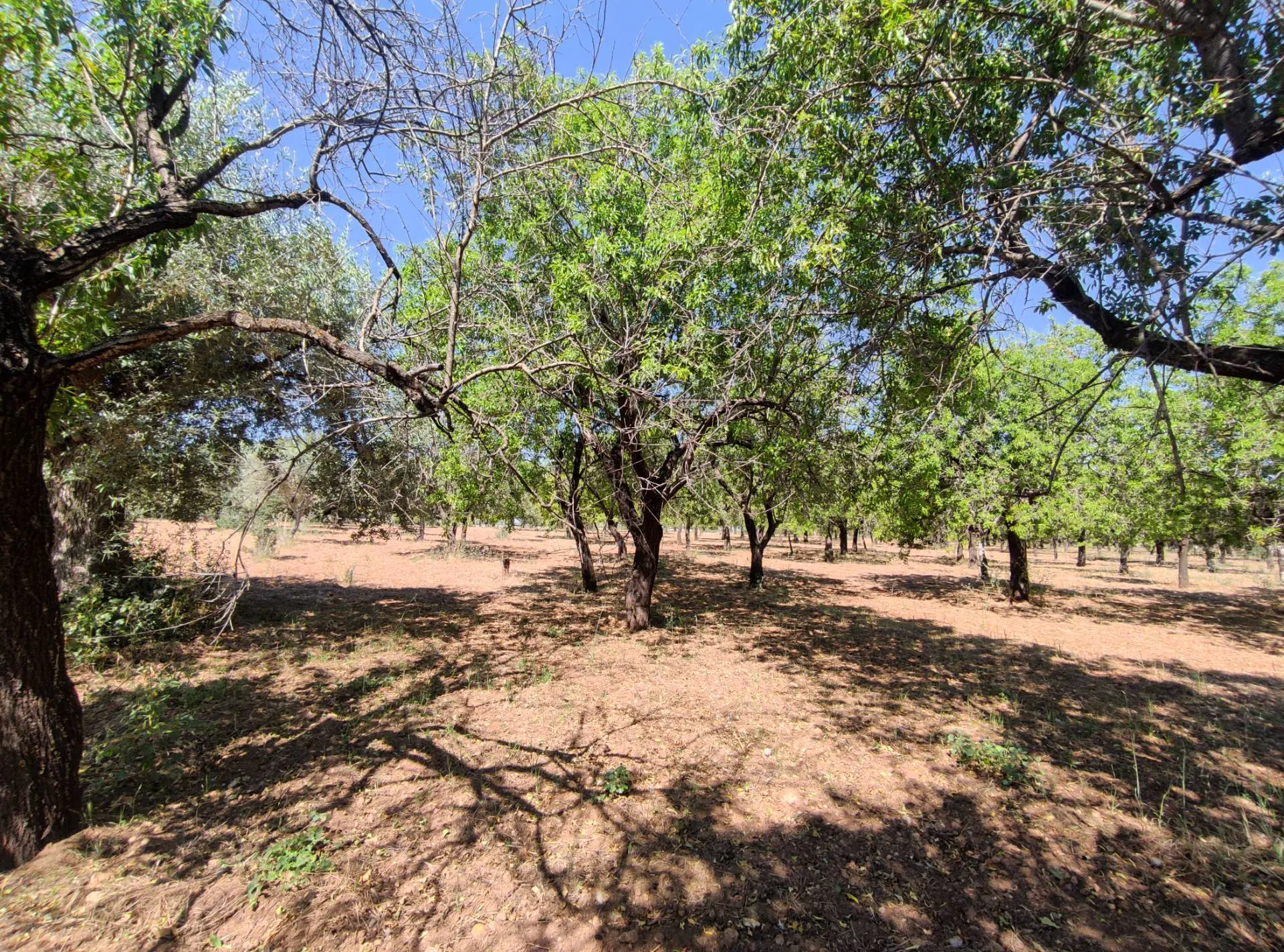 Immagine per Rustico/Casale in vendita a Noto Contrada Volpiglia snc