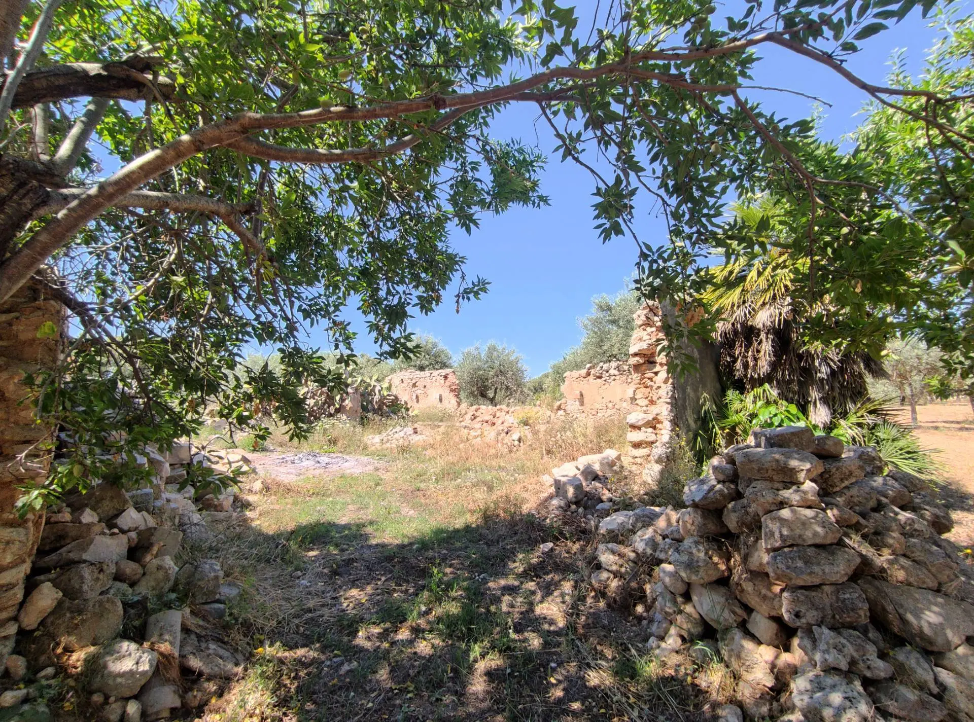 Immagine per Rustico/Casale in vendita a Noto Contrada Volpiglia snc