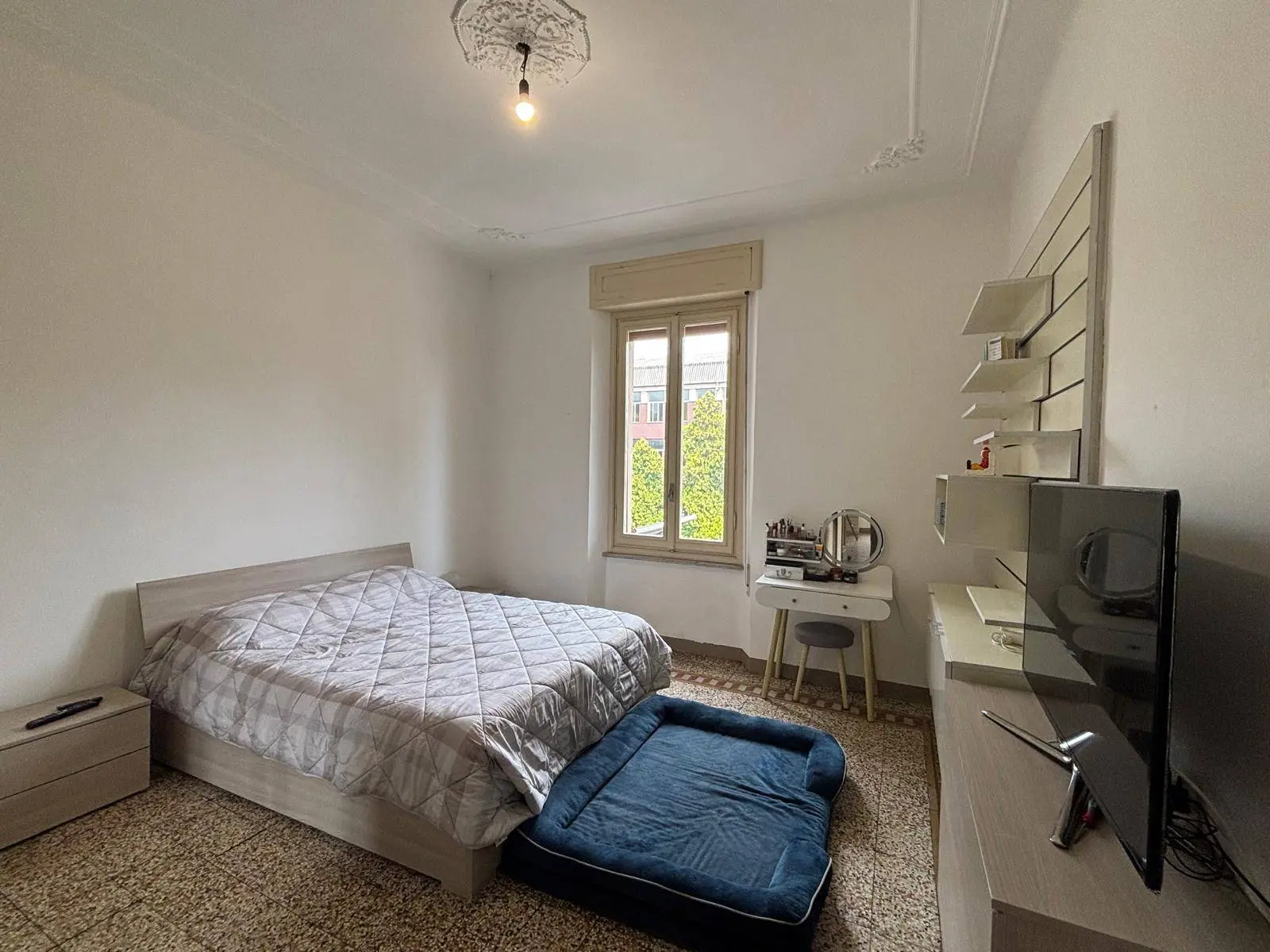 Immagine per Appartamento in vendita a Alessandria  