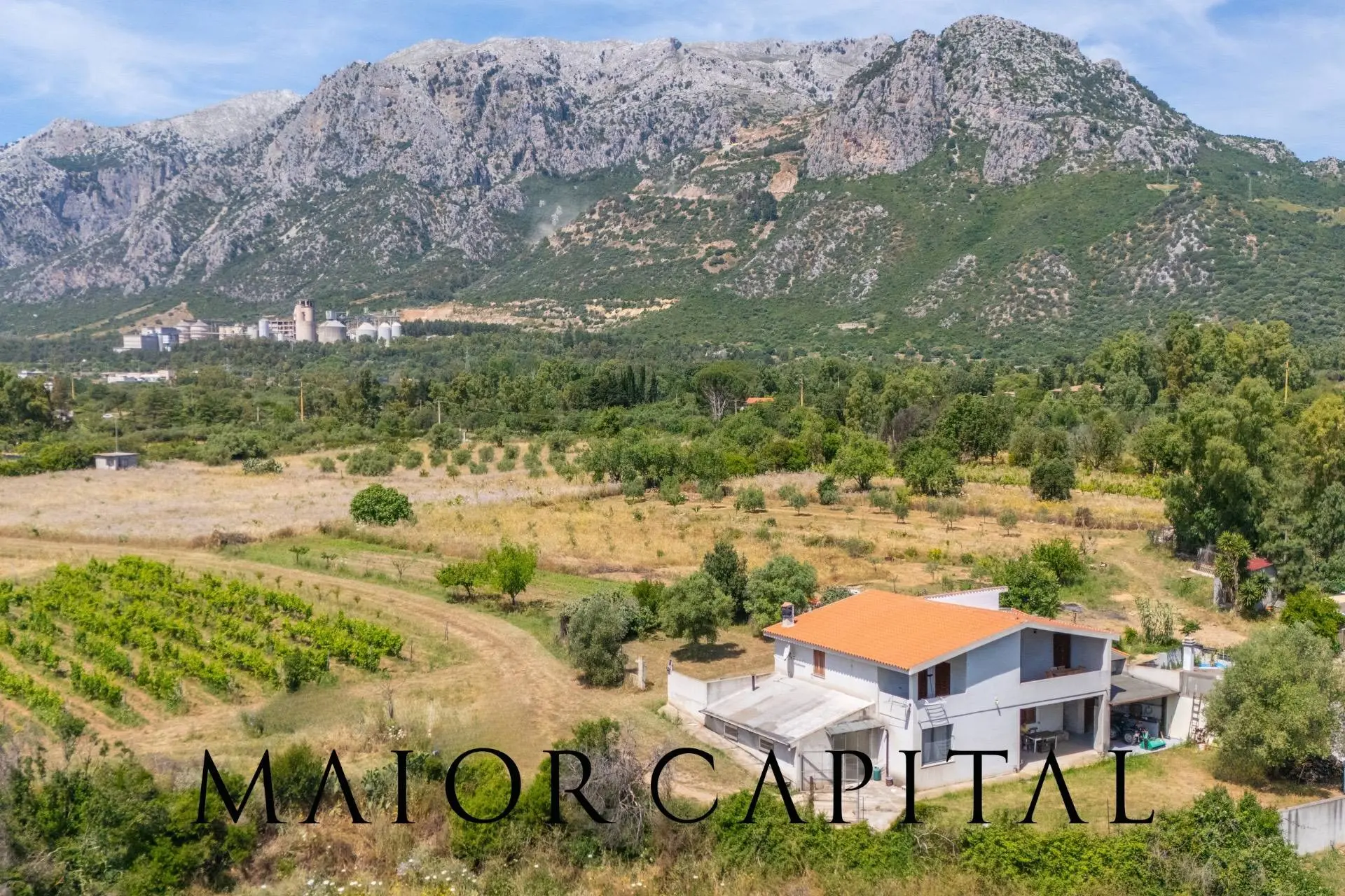 Immagine per Villa in vendita a Siniscola Via Sa Nuche 