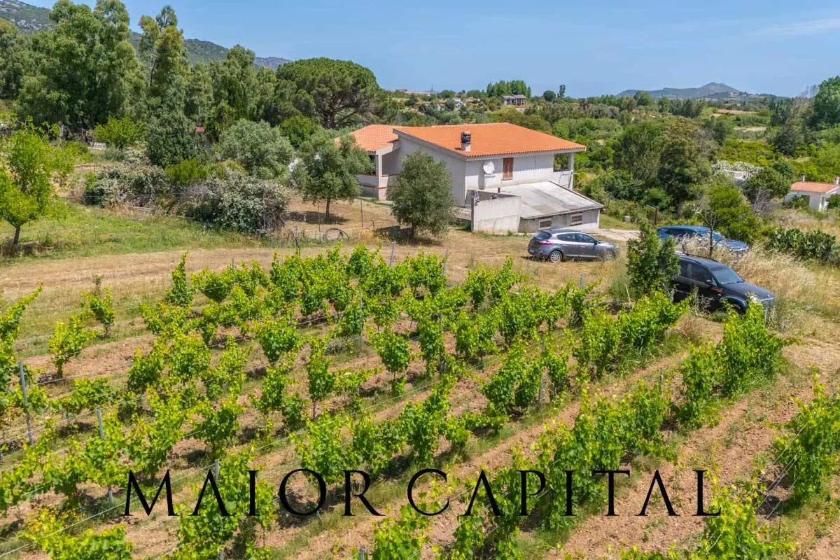 Immagine per Villa in vendita a Siniscola Via Sa Nuche 