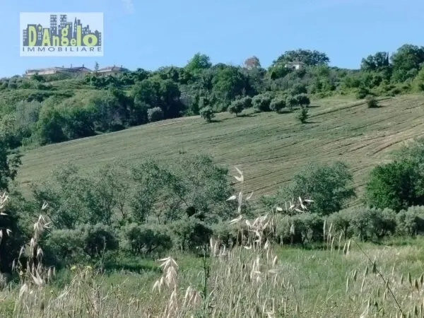 Azienda Agricola strada Provinciale 73, Castignano