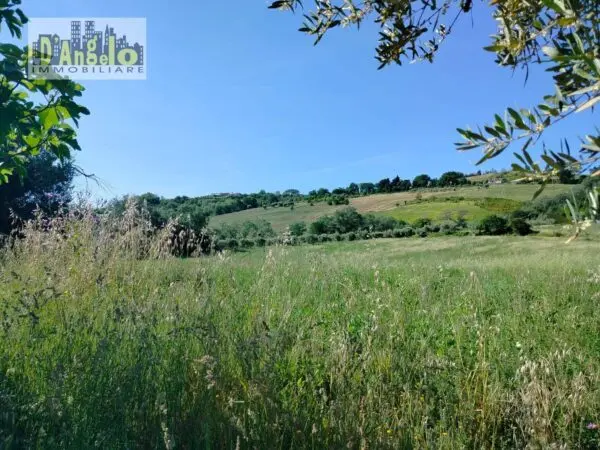 Azienda Agricola strada Provinciale 73, Castignano