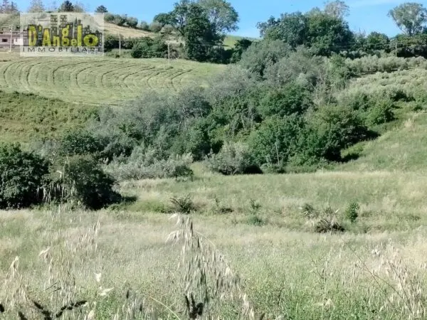 Azienda Agricola strada Provinciale 73, Castignano