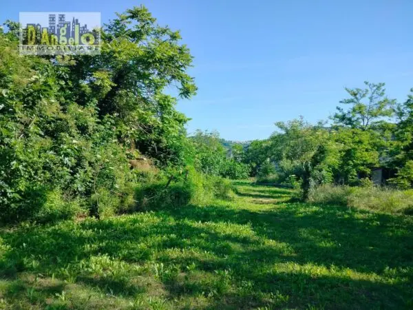 Azienda Agricola strada Provinciale 73, Castignano