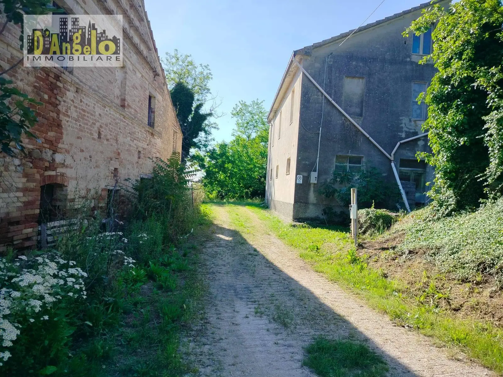 Immagine per Azienda Agricola in vendita a Castignano Strada Provinciale 73