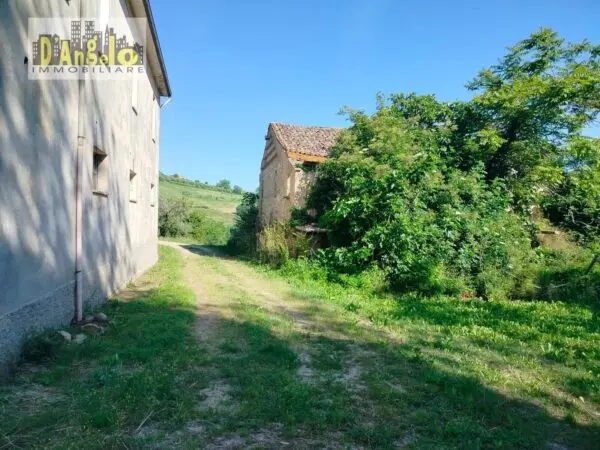 Azienda Agricola strada Provinciale 73, Castignano