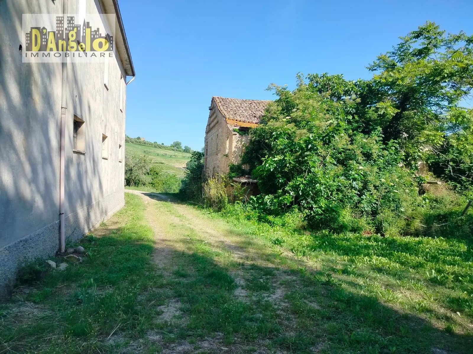Immagine per Azienda Agricola in vendita a Castignano Strada Provinciale 73