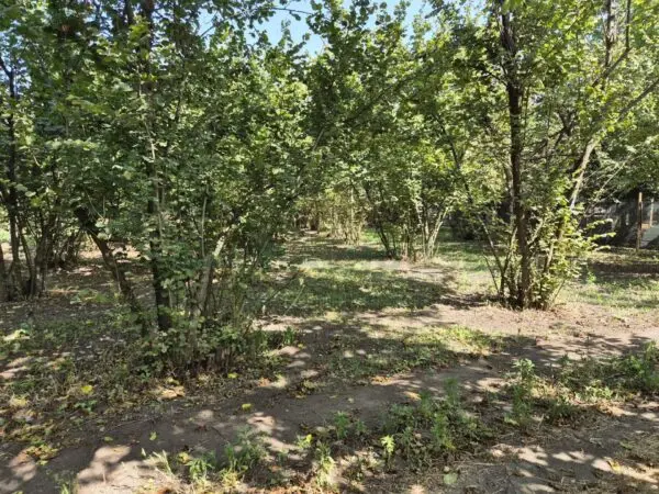 Terreno Agricolo via Contrada Perni, Massa Di Somma