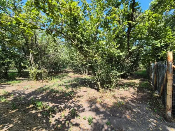 Terreno Agricolo via Contrada Perni, Massa Di Somma