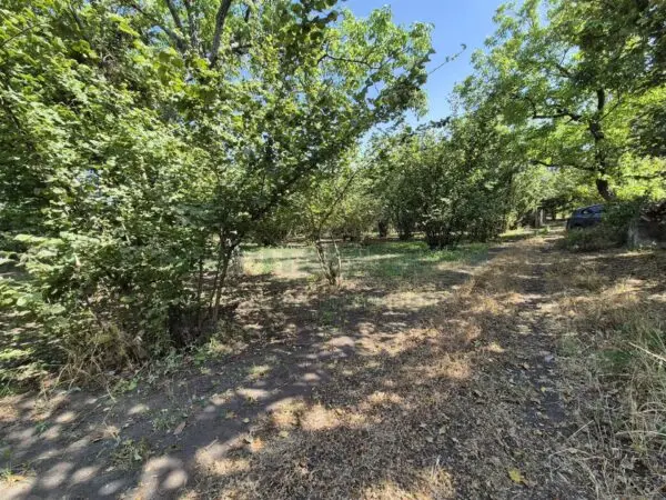 Terreno Agricolo via Contrada Perni, Massa Di Somma