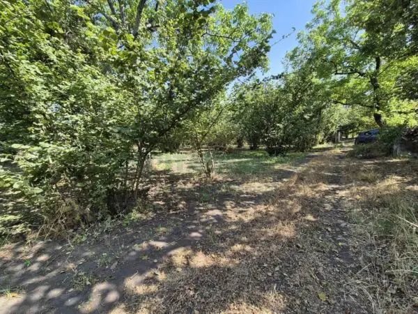 Terreno Agricolo via Contrada Perni, Massa Di Somma