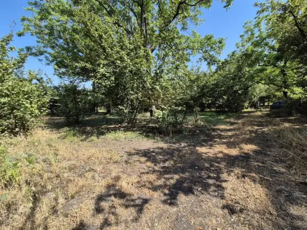 Terreno Agricolo via Contrada Perni, Massa Di Somma