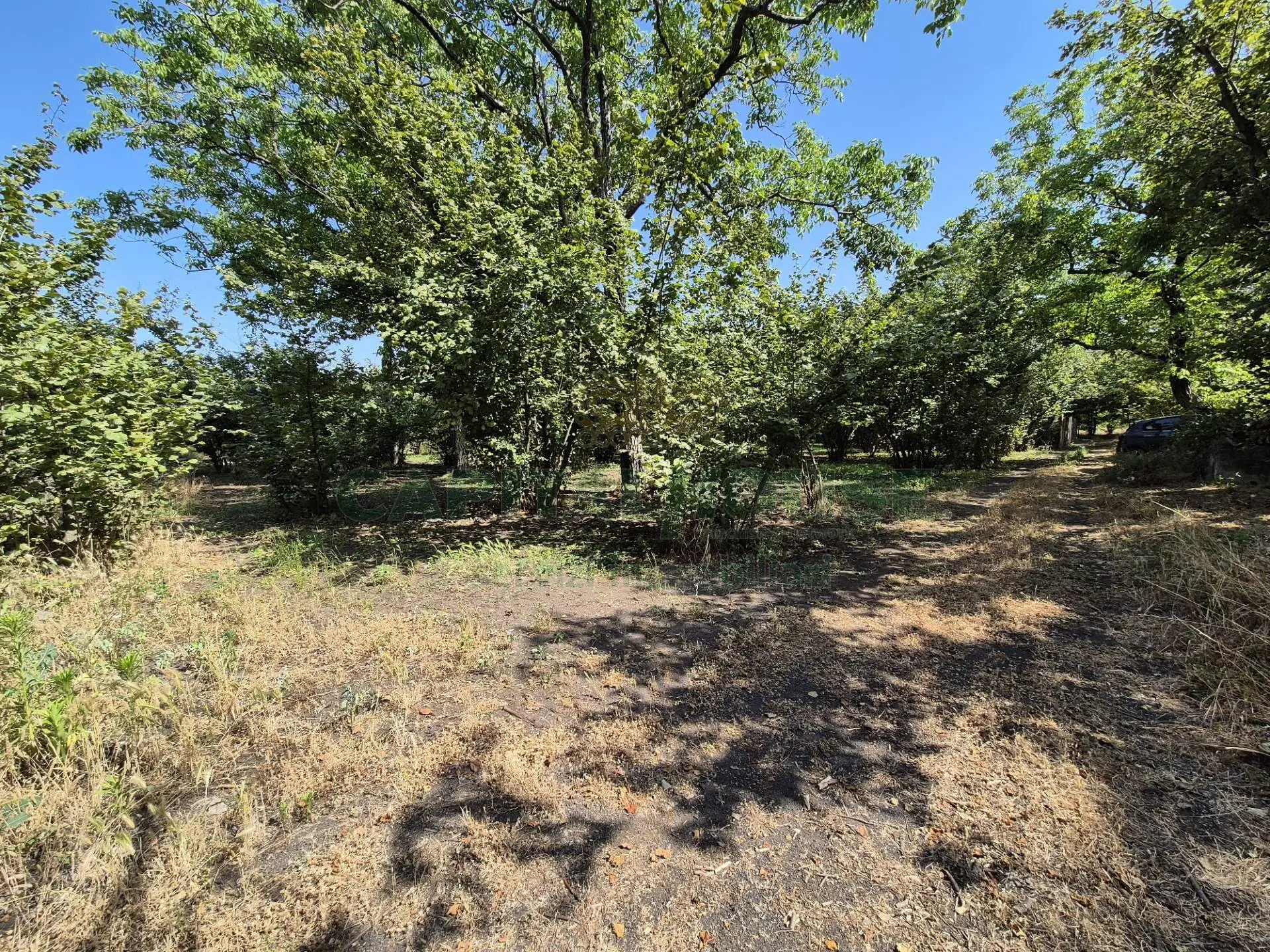 Immagine per Terreno Agricolo in vendita a Massa di Somma contrada perni 