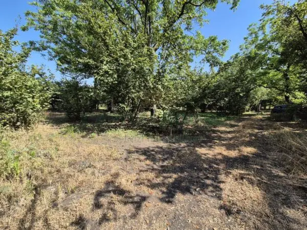 Terreno Agricolo via Contrada Perni, Massa Di Somma