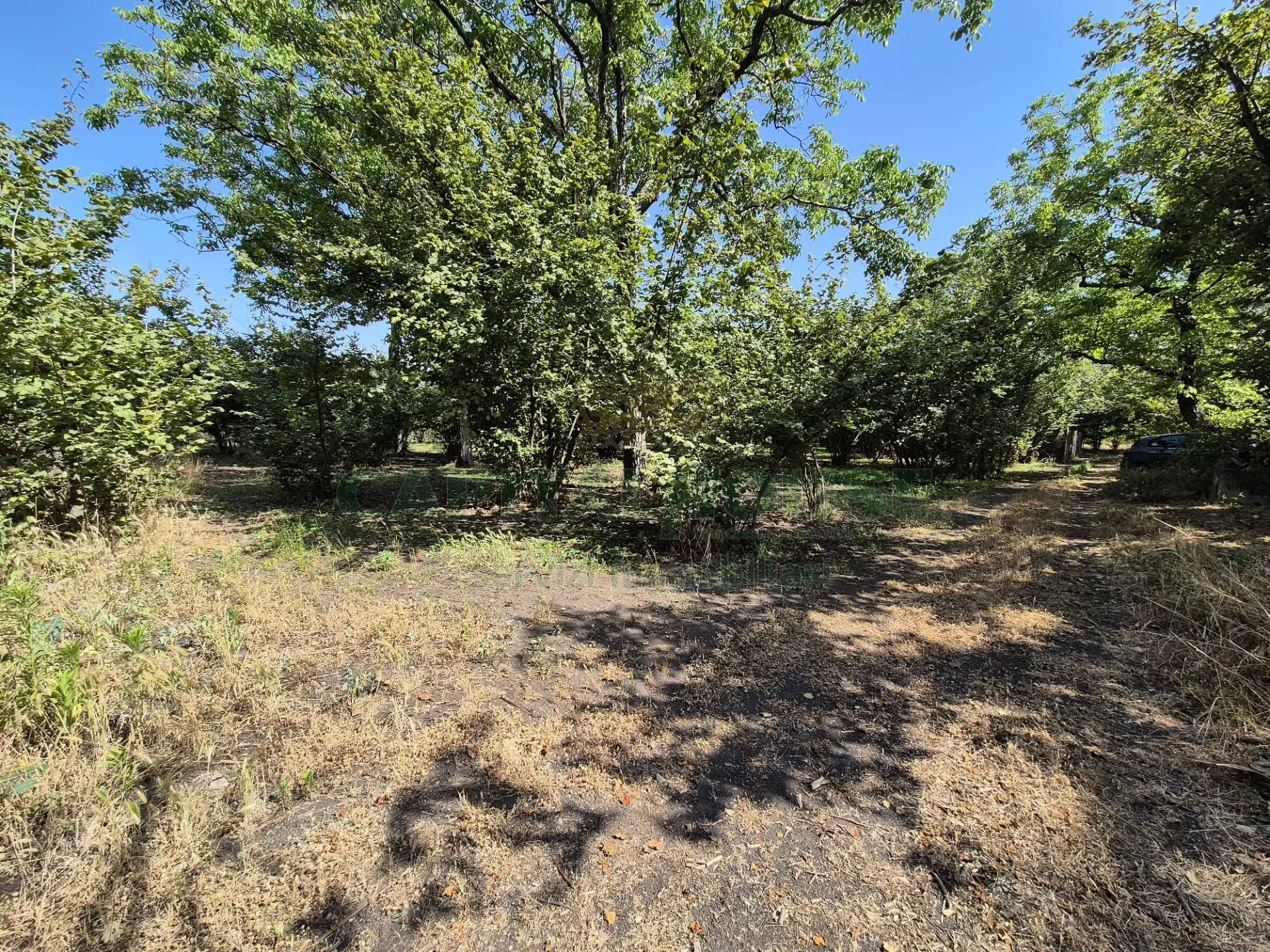 Immagine per Terreno Agricolo in vendita a Massa di Somma contrada perni 