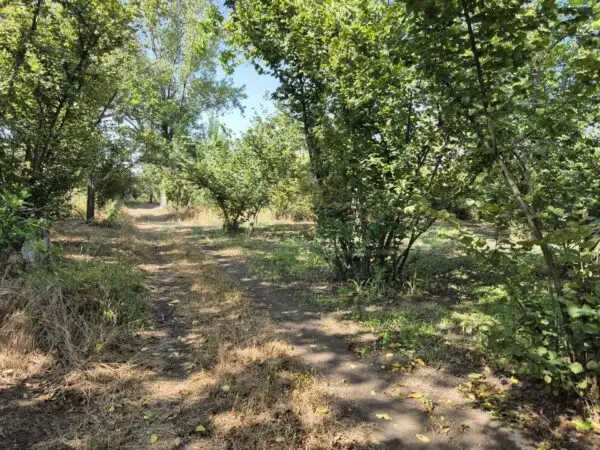 Terreno Agricolo via Contrada Perni, Massa Di Somma
