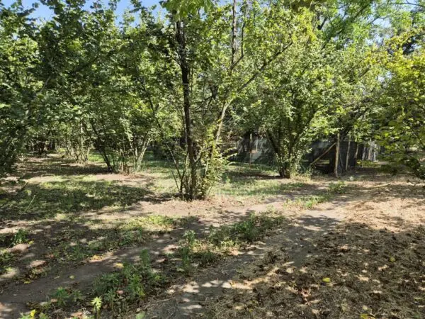 Terreno Agricolo via Contrada Perni, Massa Di Somma