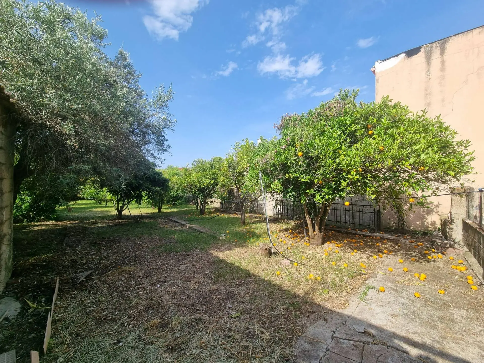 Immagine per Casa Semindipendente in vendita a Villaspeciosa Via San Pietro 