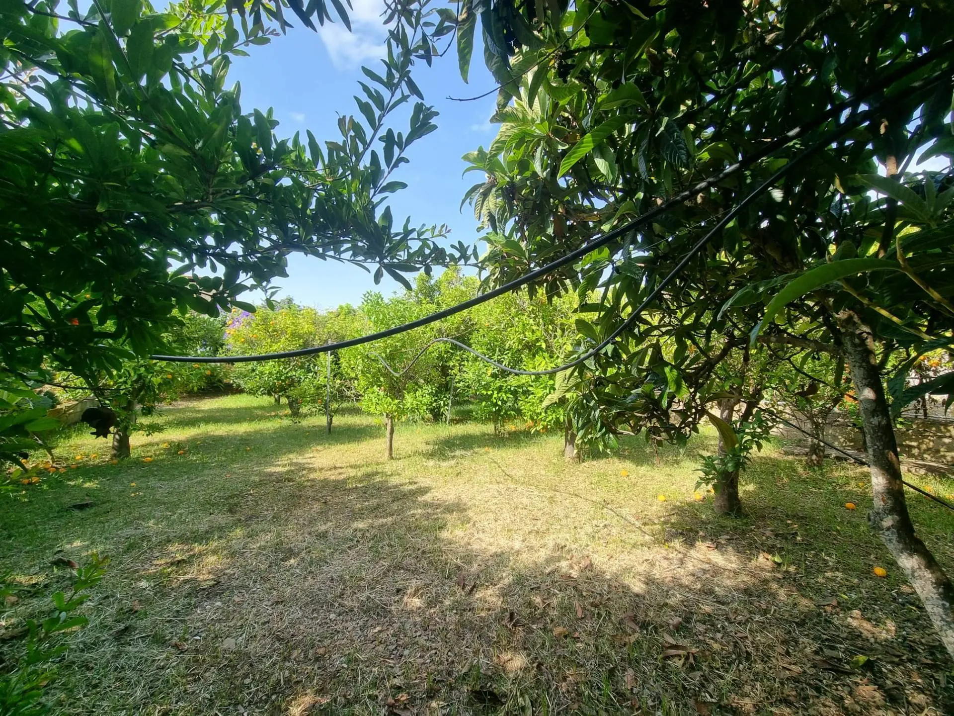 Immagine per Casa Semindipendente in vendita a Villaspeciosa Via San Pietro 