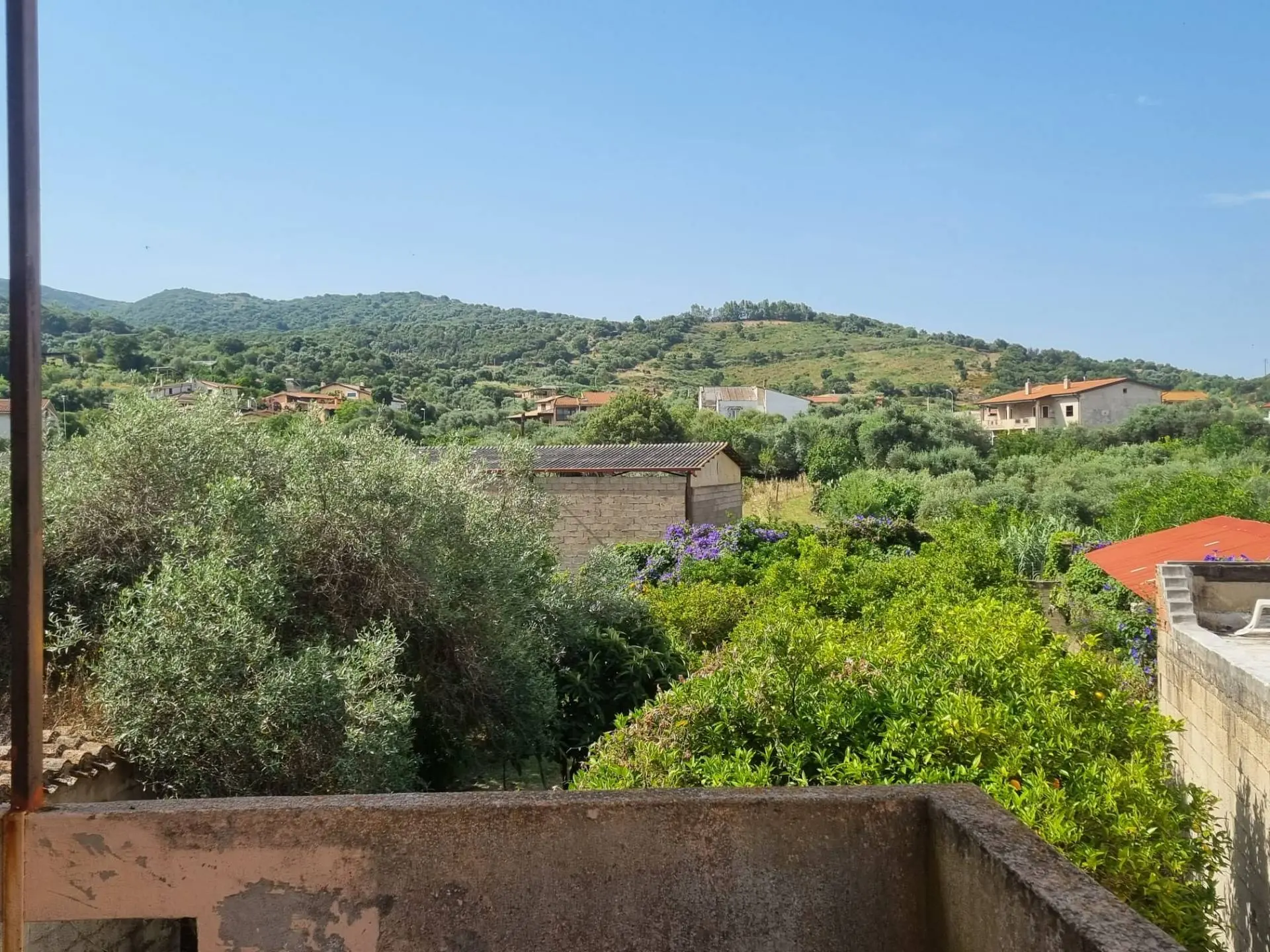 Immagine per Casa indipendente in vendita a Villaspeciosa Via San Pietro 