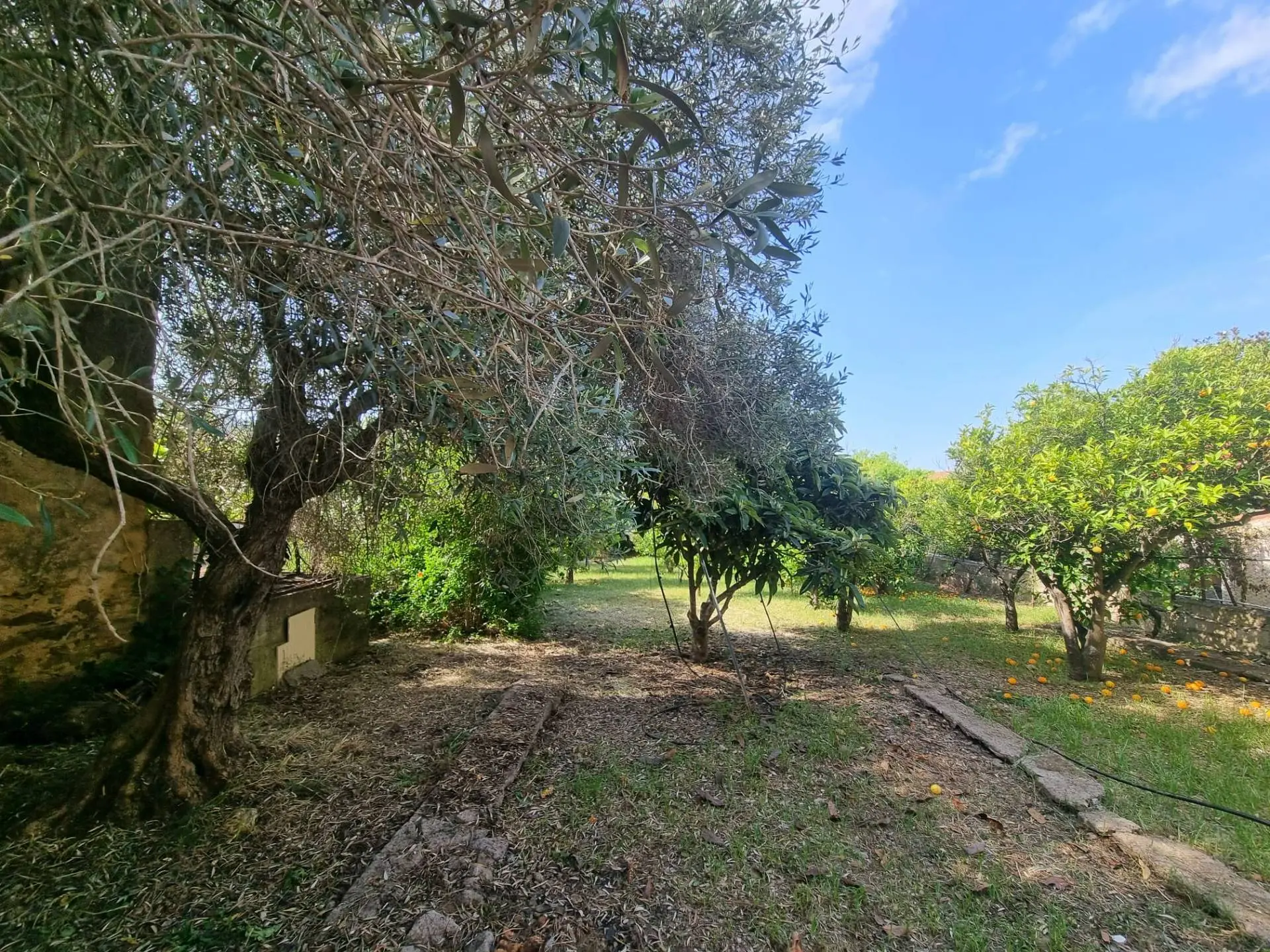Immagine per Casa indipendente in vendita a Villaspeciosa Via San Pietro 