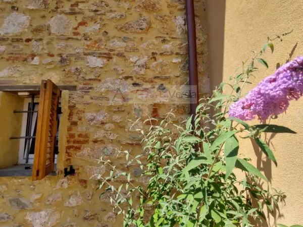 Casa Indipendente via, Pietrasanta