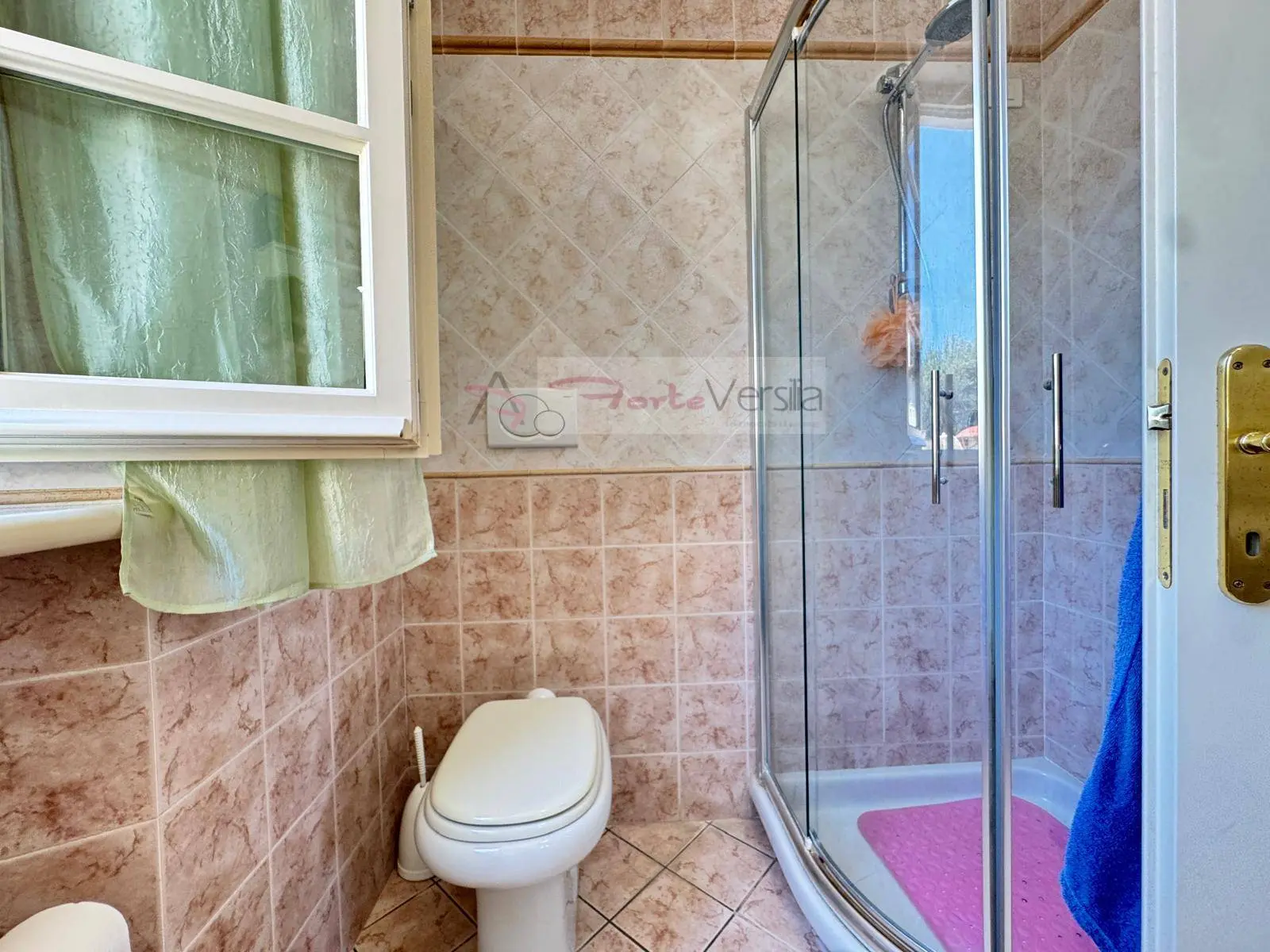 Immagine per Casa indipendente in vendita a Seravezza  