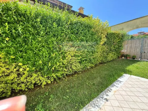 Casa Indipendente via, Seravezza