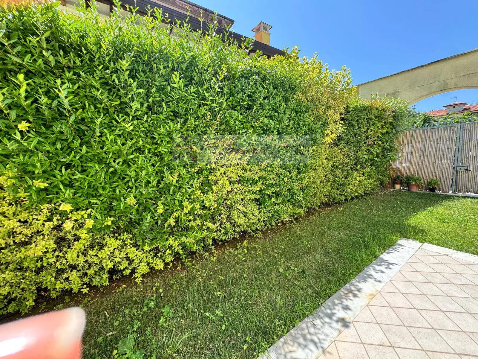Immagine per Casa indipendente in vendita a Seravezza  