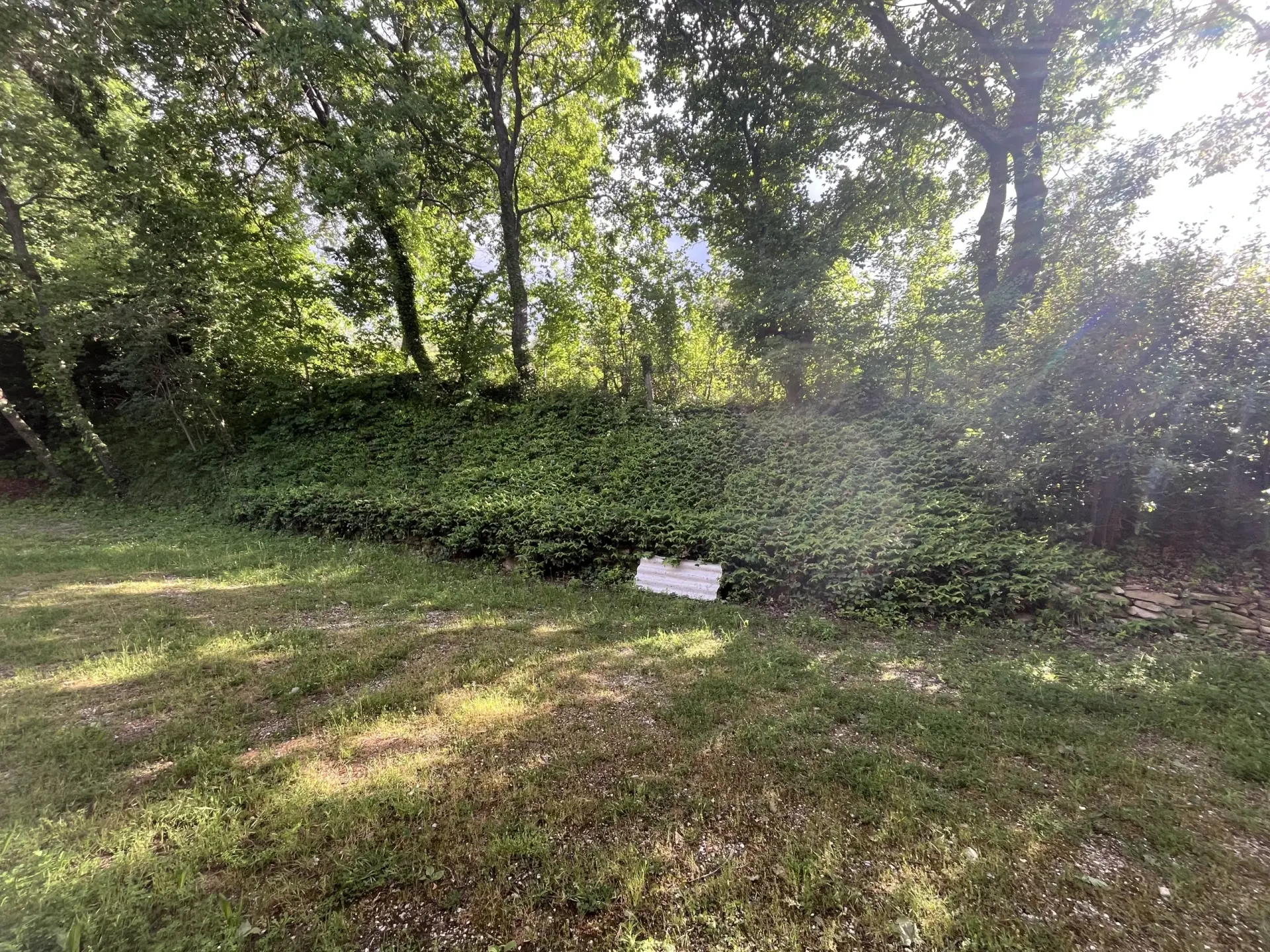 Immagine per Villa trifamiliare in vendita a Montecarotto via Contrada Colle