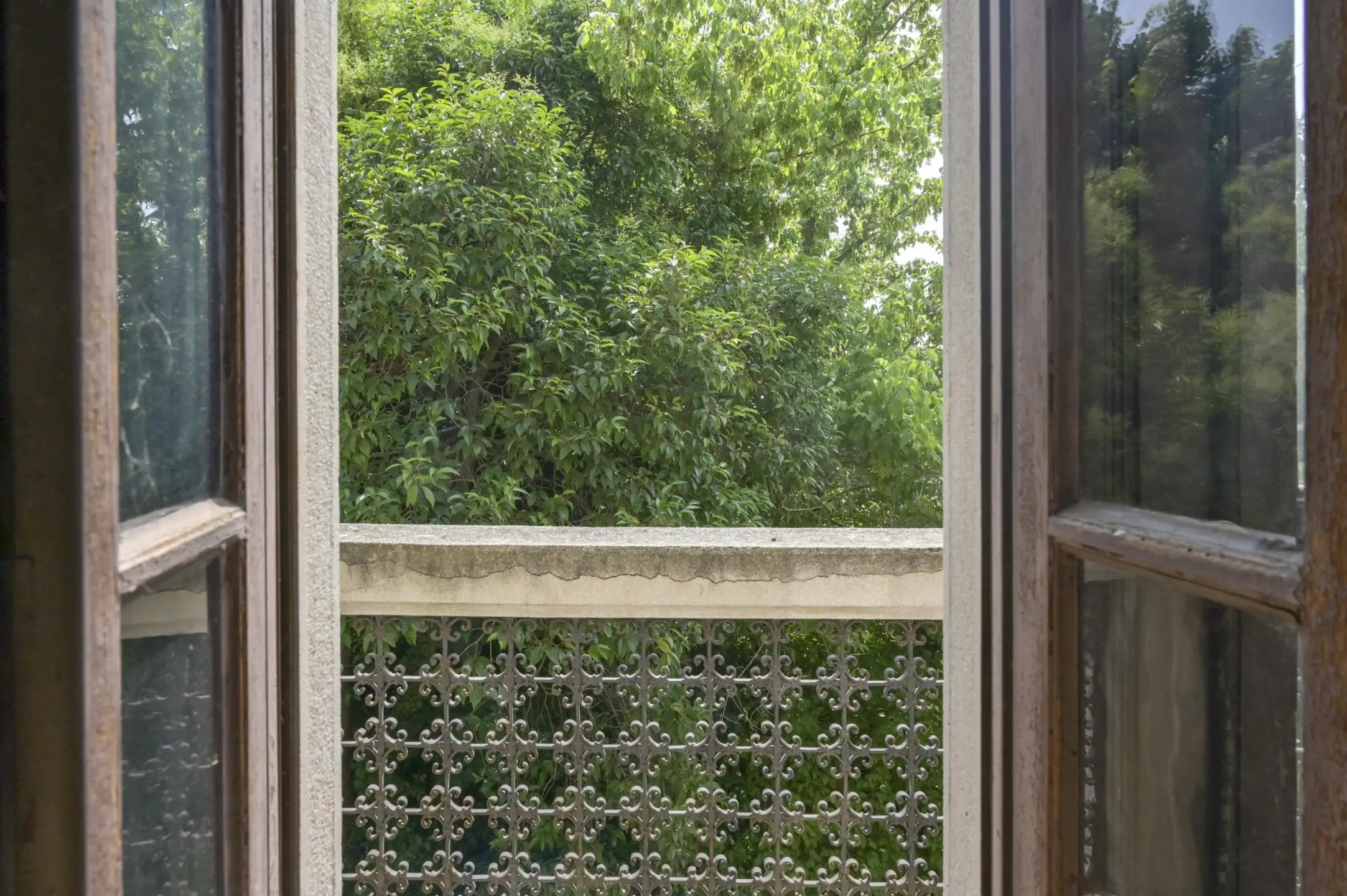 Immagine per Villa in vendita a Cossato via Martiri Della Libertà 168