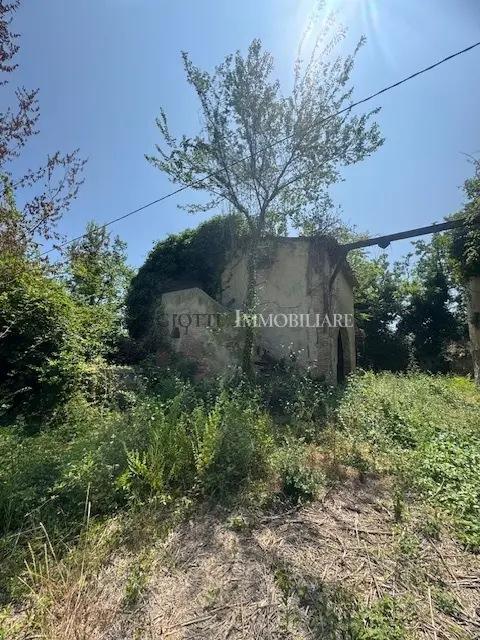 Immagine per Casale in vendita a Livorno via Postignano