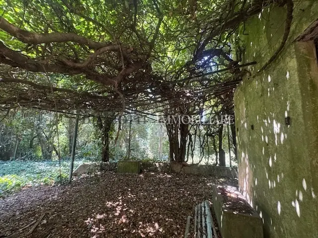 Immagine per Casale in vendita a Livorno via Postignano