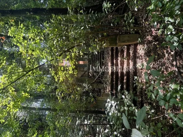 Immagine per Casale in vendita a Livorno via Postignano