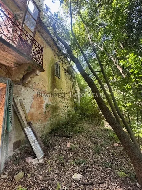Immagine per Casale in vendita a Livorno via Postignano