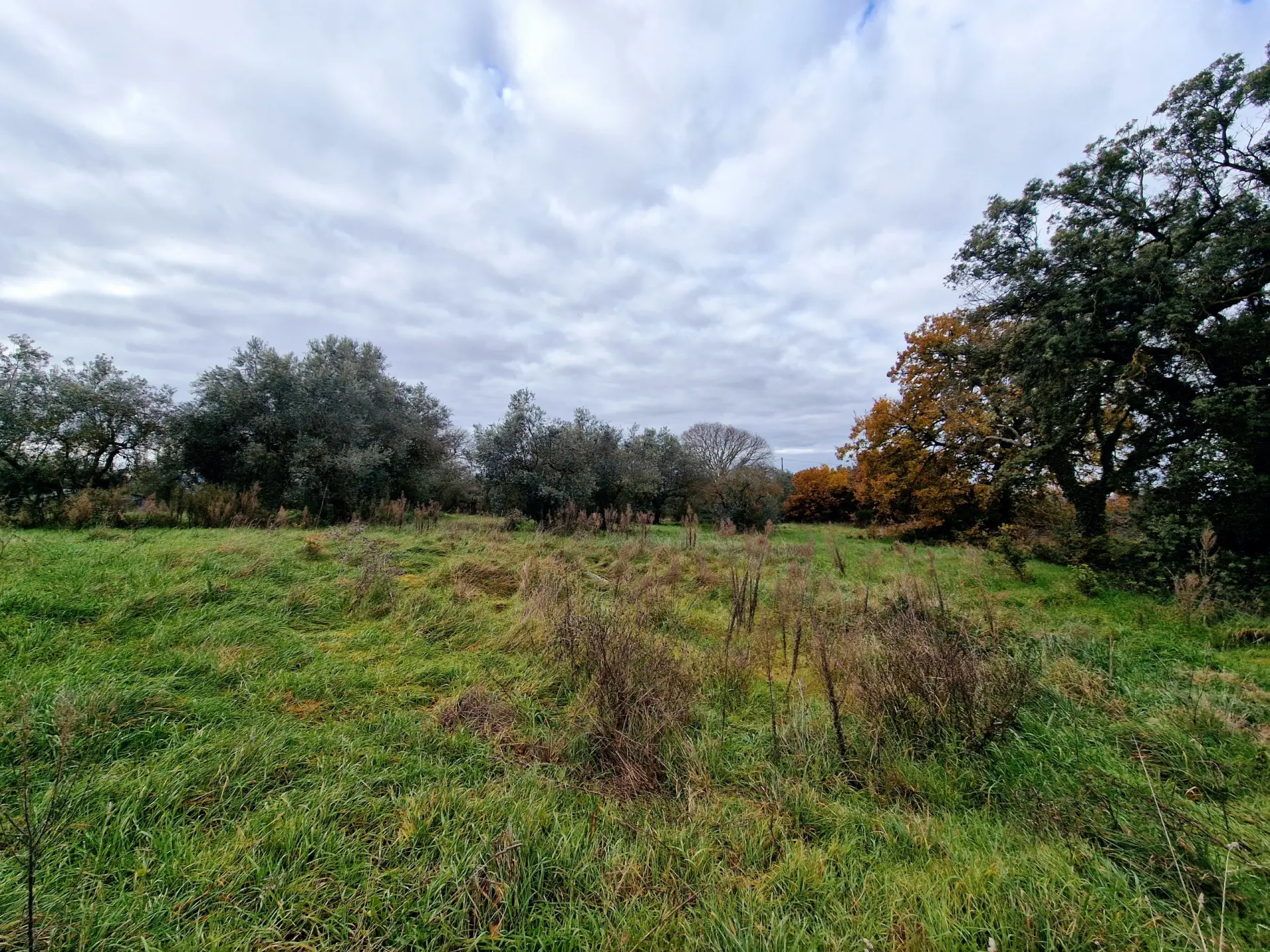 Immagine per Casale in vendita a Amelia strada Di Siano
