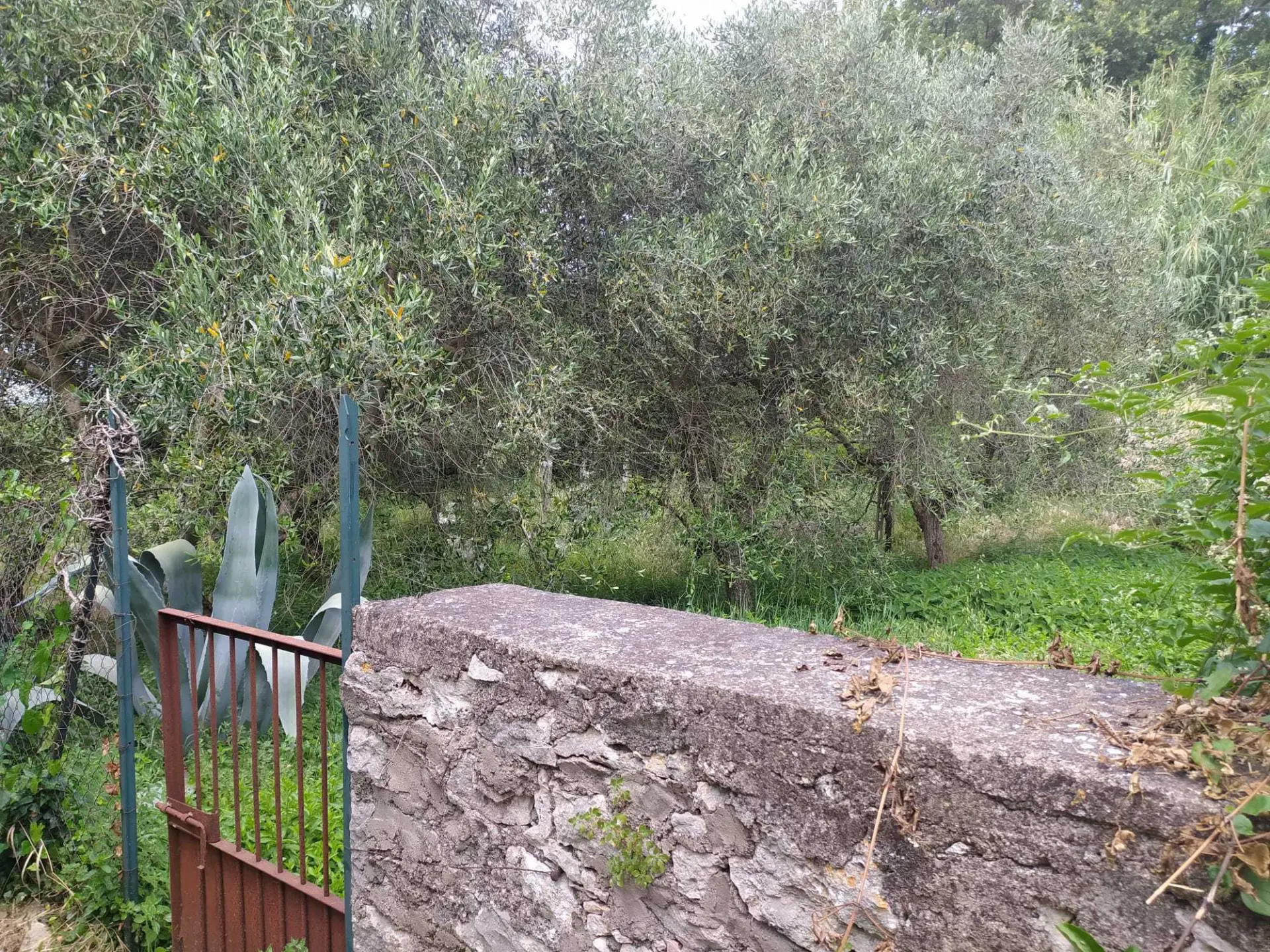 Immagine per Porzione di casa in vendita a Guardea piazza Panfili