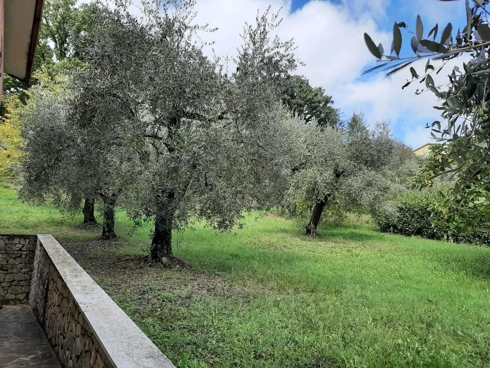 Immagine per Villa in vendita a Avigliano Umbro via Giacomo Matteotti 142