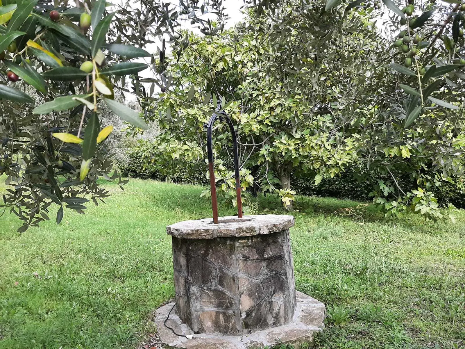 Immagine per Villa in vendita a Avigliano Umbro via Giacomo Matteotti 142