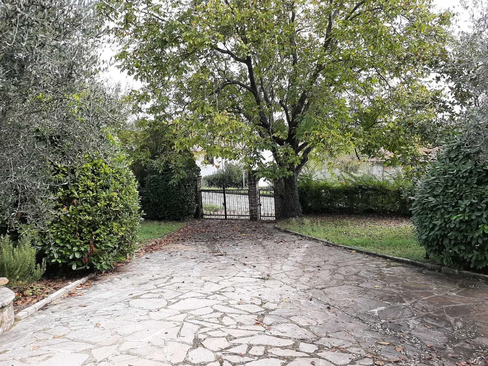 Immagine per Villa in vendita a Avigliano Umbro via Giacomo Matteotti 142