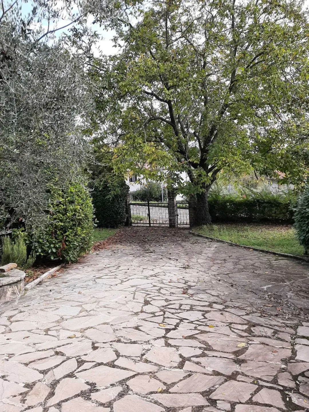 Immagine per Villa in vendita a Avigliano Umbro via Giacomo Matteotti 142