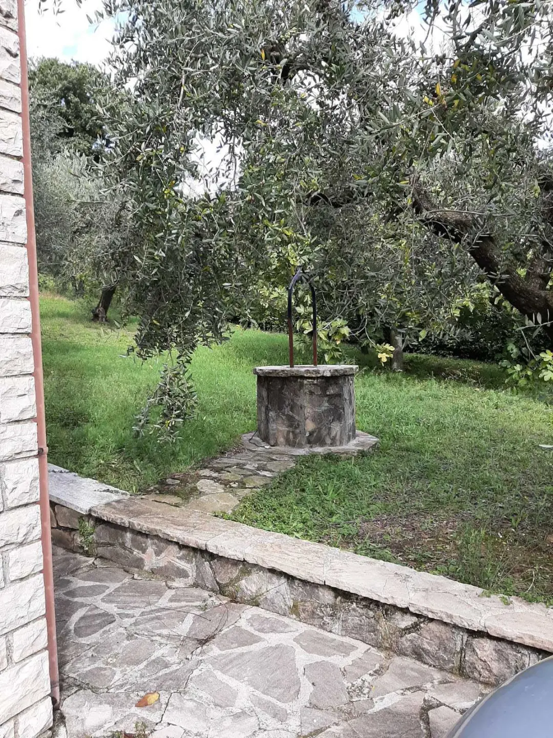 Immagine per Villa in vendita a Avigliano Umbro via Giacomo Matteotti 142