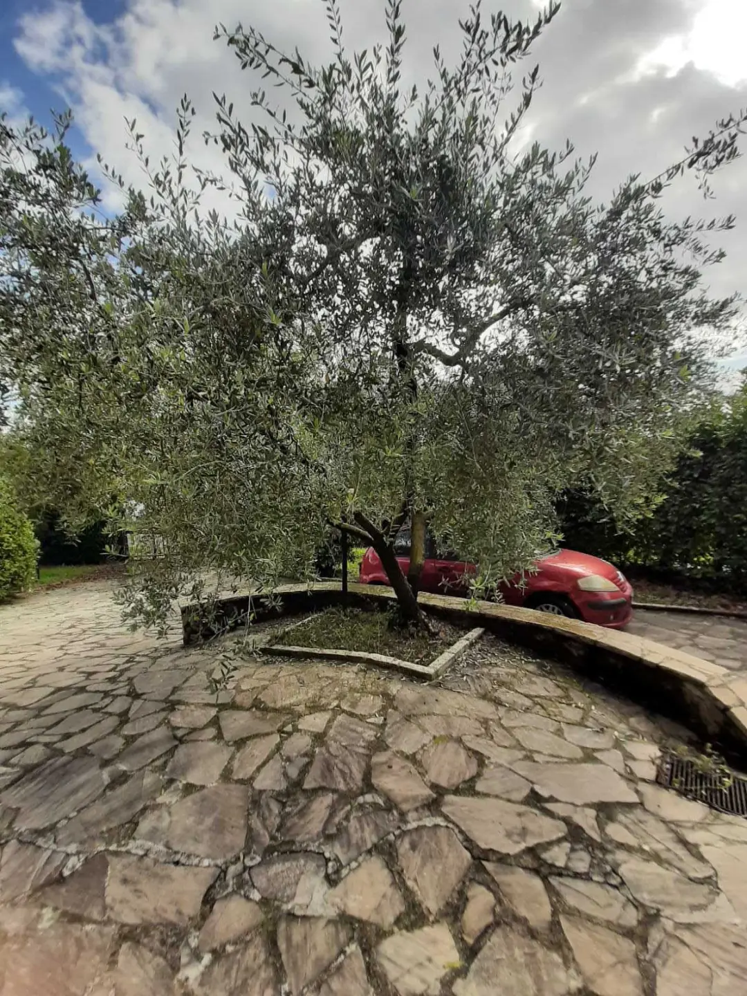 Immagine per Villa in vendita a Avigliano Umbro via Giacomo Matteotti 142