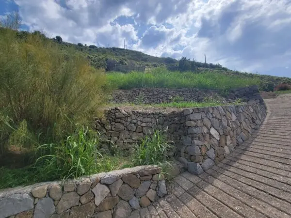 Vigneto via Anacleto Hughes 22/a, Ventimiglia