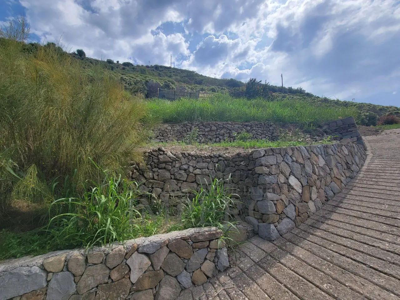 Immagine per Vigneto in vendita a Ventimiglia via Anacleto Hughes 22/A