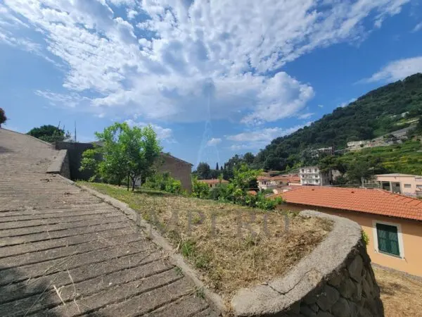 Vigneto via Anacleto Hughes 22/a, Ventimiglia